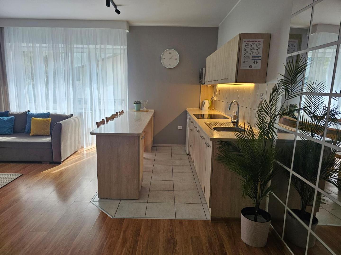 Rema W Centrum Apartzakop Zakopane